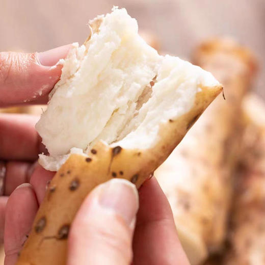 正宗温县垆土铁棍山药 商品图2