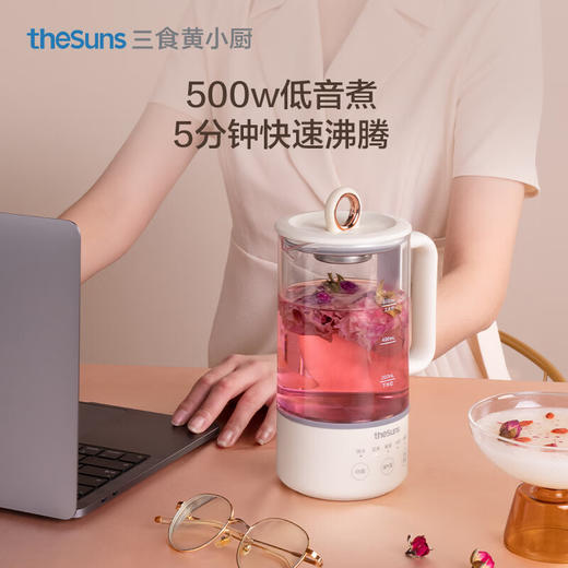三食黄小厨迷你养生壶0.6升办公室多功能小型煮茶器烧水壶花茶壶  YB3 商品图1