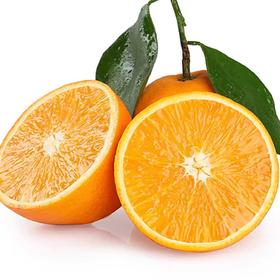 新鲜水果 伦晚秭归脐橙