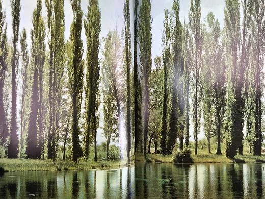 古罗马 数百幅插图 精装大16开 商品图12