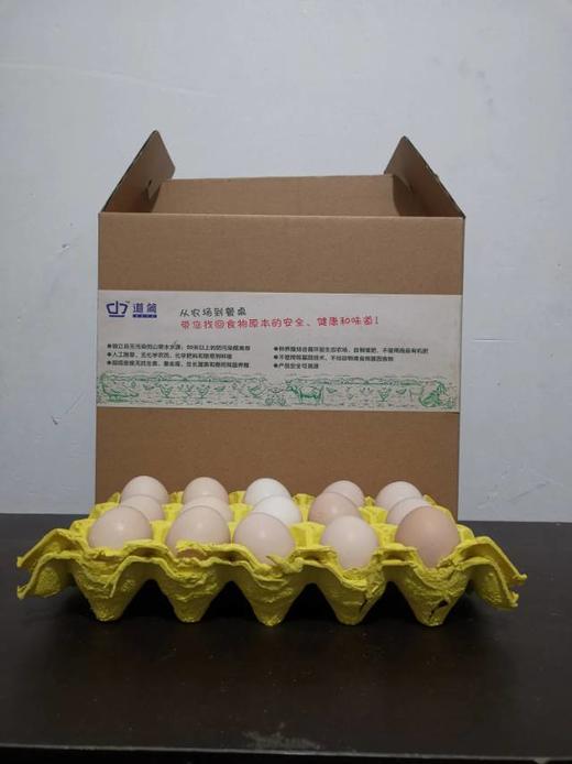 零抗散养清朝贡鸡、1年以上老母鸡和鸡蛋 商品图3