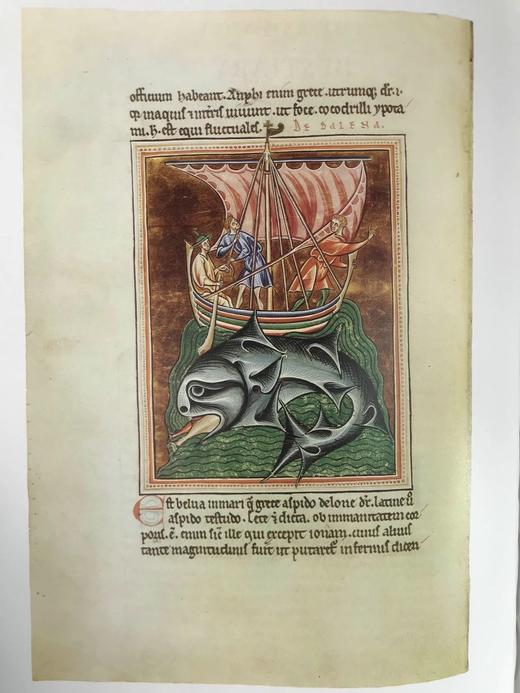 牛津大学图书馆珍宝图集 36幅彩色插图 精装8开带书匣 商品图11