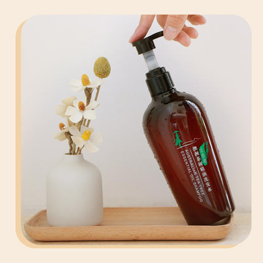 故乡好物 |（到手13瓶）寻香师澳洲茶树精油洗发水 商品图4