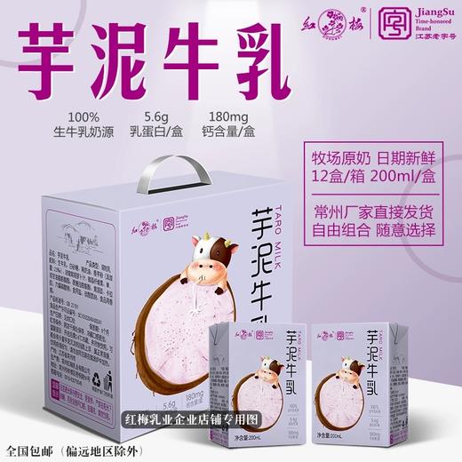 红梅芋泥牛乳200ml*12 商品图3