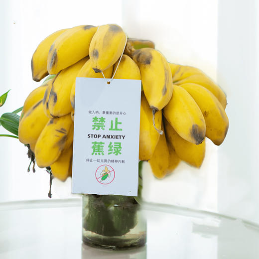 【上班摸鱼搭子】禁止蕉绿 水培香蕉 水培苹果蕉 彩箱装 商品图3