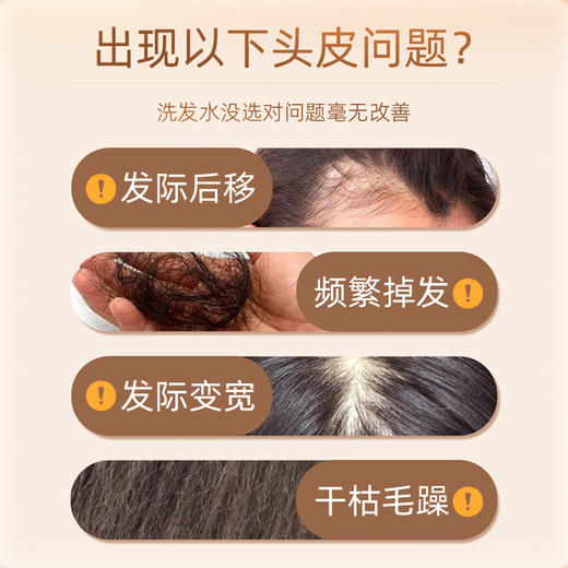 故乡好物 |（到手13瓶）寻香师小黄姜精油洗发水 商品图1
