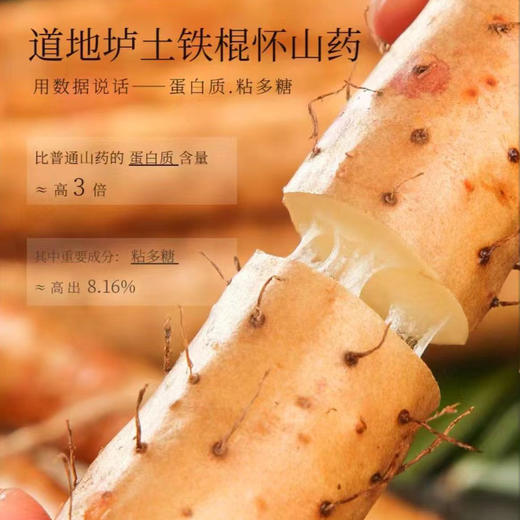 正宗温县垆土铁棍山药 商品图4