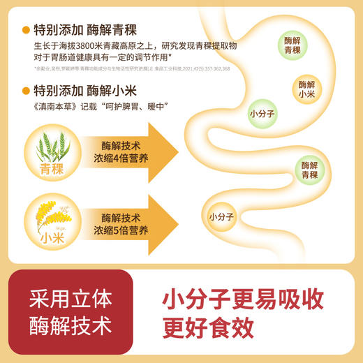 花姐食养纯纯铁棍山药粉河南温县焦作垆土怀山药即食 15袋/盒 商品图3