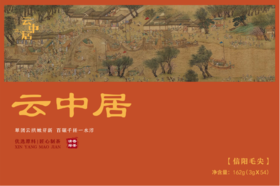 空礼盒-知晓系列特级信阳毛尖162g（3gx54）