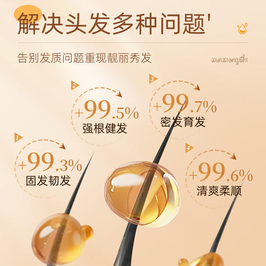 故乡好物 |（到手13瓶）寻香师小黄姜精油洗发水 商品图2