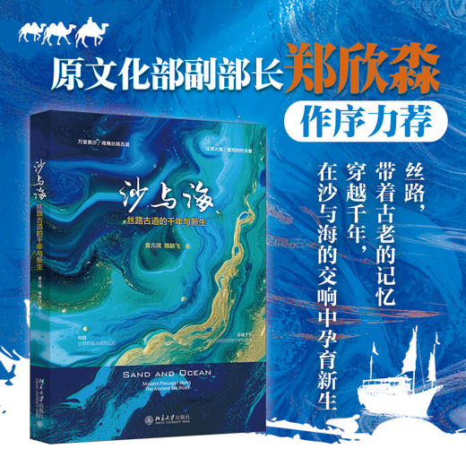 沙与海：丝路古道的千年与新生 黄元琪 陈跃飞 著 北京大学出版社 商品图1