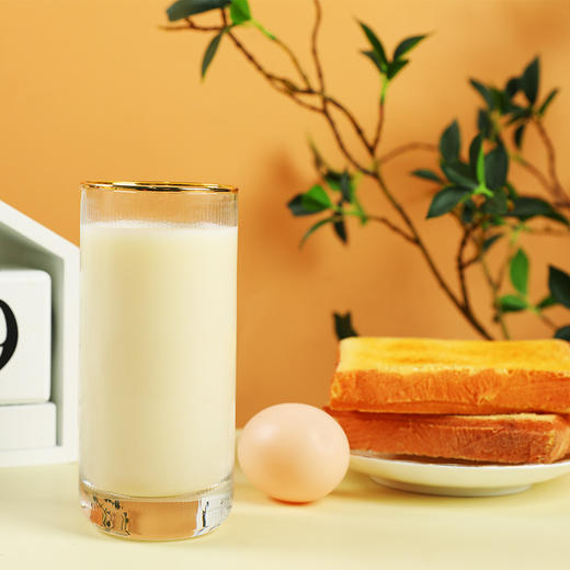 【自营】燕之坊 五谷故事30日杂粮豆浆1.2kg C01070011050 商品图4