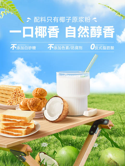 【整箱批发】 南国食品纯椰子粉308gX20袋 商品图3