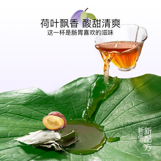 【新品上市】CHALI西梅荷叶普洱茶茶叶袋泡茶茶里公司出品 商品图2