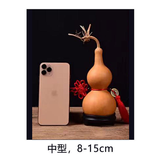 认购一株苗（葫芦娃娃伙伴计划） 商品图2