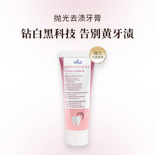 瑞士Dr.wild怀尔德抛光去渍牙膏 针对牙垢牙黄 商品图0
