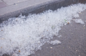  “白绒绒”又“飘”了！花粉+杨柳絮的混合双打，该如何应对？ 