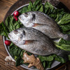 野生东山岛金头鲷鱼 | 合作生产 * Wild Dongshan Island Yellow chicken fish | Coproduction 商品缩略图5