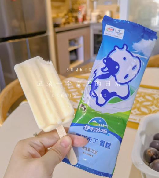 伊利香浓布丁 商品图0