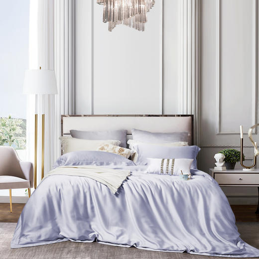 利路米百支纯色奥地利兰精天丝面料四件套 灰紫 商品图0