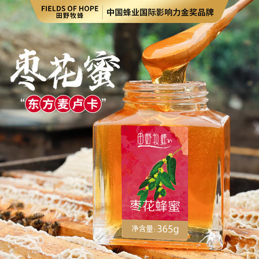 枣花蜂蜜田野牧蜂高原原蜜高活性成熟蜜有花香的蜂蜜牧蜂苏 商品图0