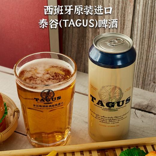 西班牙丨泰谷啤酒  泰谷黄啤 4.8度 500ml/听 商品图1