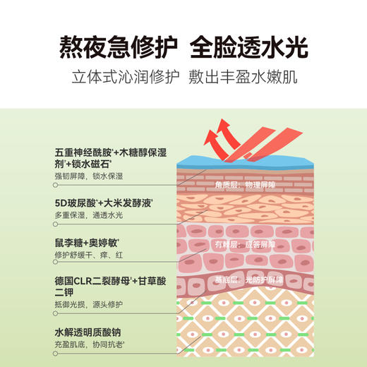 HBN·酵母水光面膜+多效焕亮面膜（升级版）5片/盒 商品图9