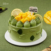 春野芒芒· 抹茶香芒麻薯蛋糕 | 36 CAKE 商品缩略图0
