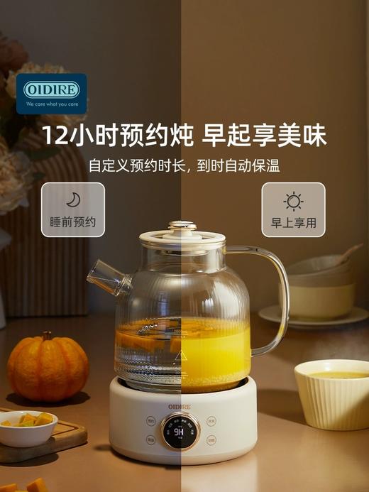 OIDIRE 多功能 办公室 玻璃花茶壶 1000ml 商品图2