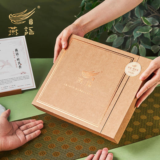 燕语·叶其香（普洱生茶）礼盒349g 商品图4