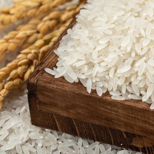 正宗五常稻花香2号 商品图2