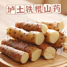 正宗温县垆土铁棍山药