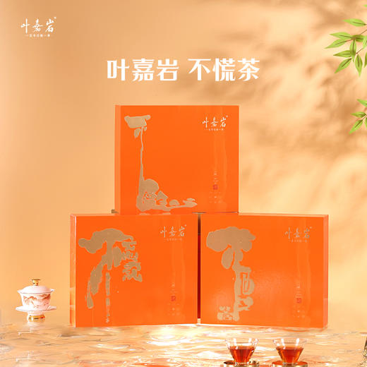 叶嘉岩·不慌系列肉桂水仙大红袍散泡装 商品图4