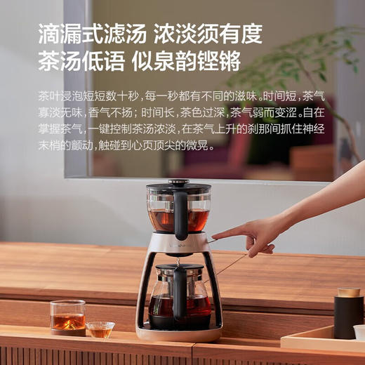 碧云泉S1功夫煮茶器泡茶艺壶恒温烧水耐高温玻璃养生办公室小型黑（HT701） 商品图5