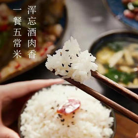 正宗五常稻花香2号