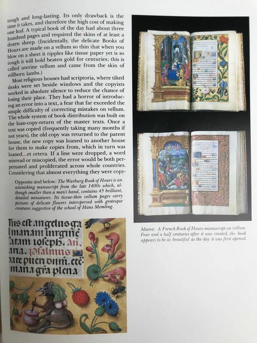 美国国会图书馆珍品图集 439幅插图（156幅彩色） 精装大16开 商品图13