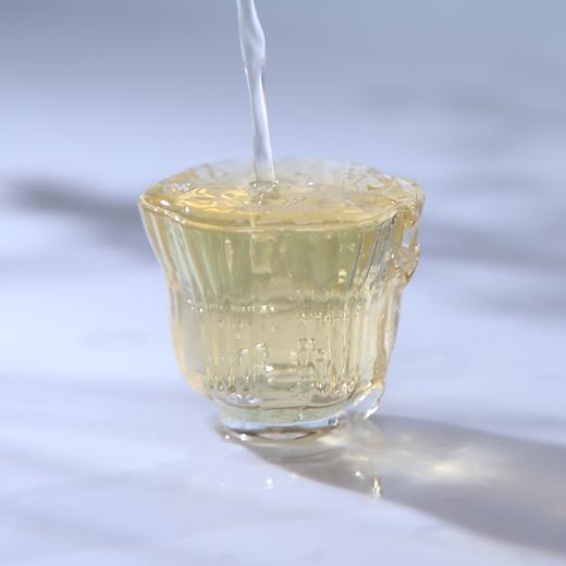 【预售8折，买7送1】2026《薄荷塘乔木》春茶生茶 357克*1饼 商品图3