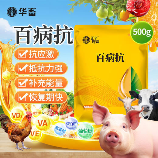 华畜 百病抗500g  抗应激抵抗力强补充能量快Z 商品图0