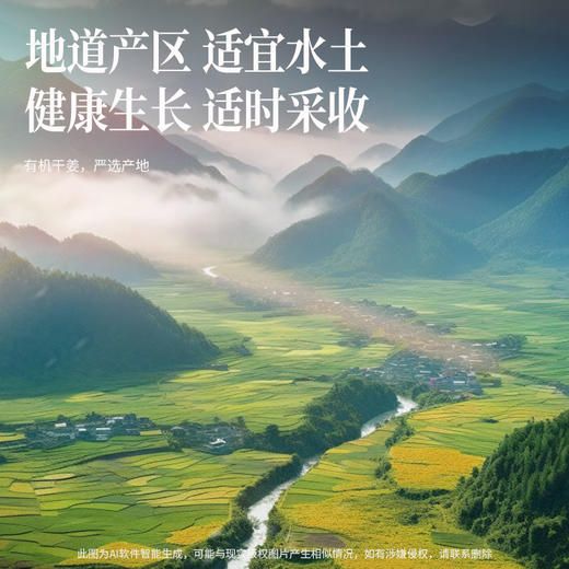 【正宗同仁堂品牌】北京同仁堂 青源堂 有机干姜100克（5g*20包） 严选有机  自然生长 辛香暖身 独立包装SY 商品图3