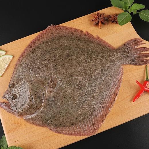 【买3送1，新鲜海捕多宝鱼】嫩滑刺小，活冻锁鲜，营养不流失！鲜活冷冻海鲜比目鱼大偏口鱼鲽鱼鸦片鱼大海鱼 商品图1