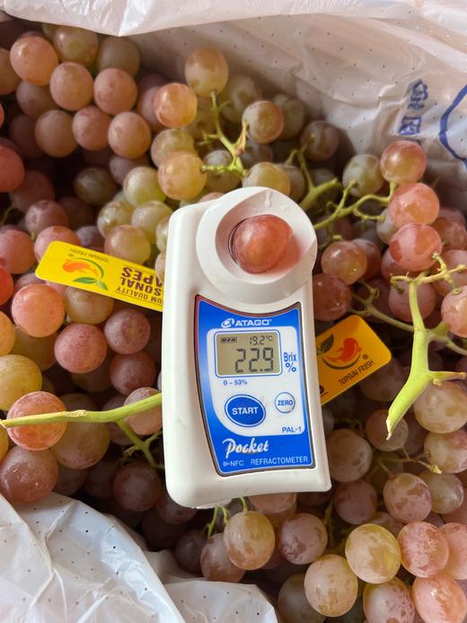 红宝石玫瑰香葡萄 太甜了 商品图3