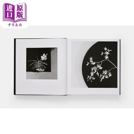 【中商原版】Mapplethorpe Flora The Complete Flowers 进口艺术 罗伯特·梅普尔索普花卉摄影集 Phaidon 商品图1