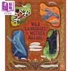 【中商原版】大自然母亲的语言Wild Languages of Mother Nature 48 Stories of How Nature Communicates英文原版科普绘本 商品缩略图0