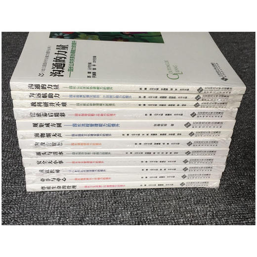 幼儿园园长专业能力提升丛书 套装12本 园长专业理论教研用书 北京师范大学出版社 YT 商品图4