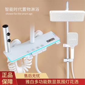 8067全铜蒙特卡罗数显-雅白