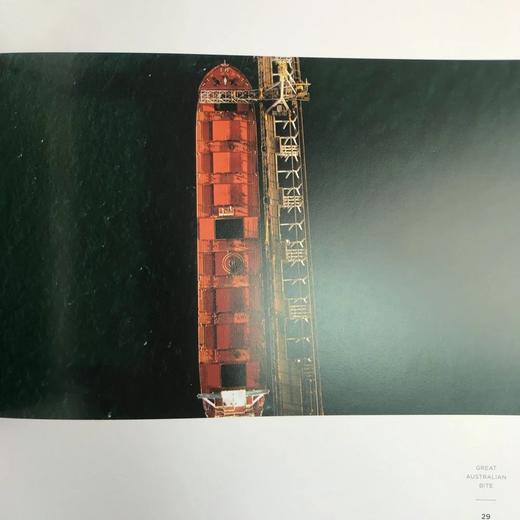 伟大的南方土地 数百幅彩色插图 精装16开 商品图13