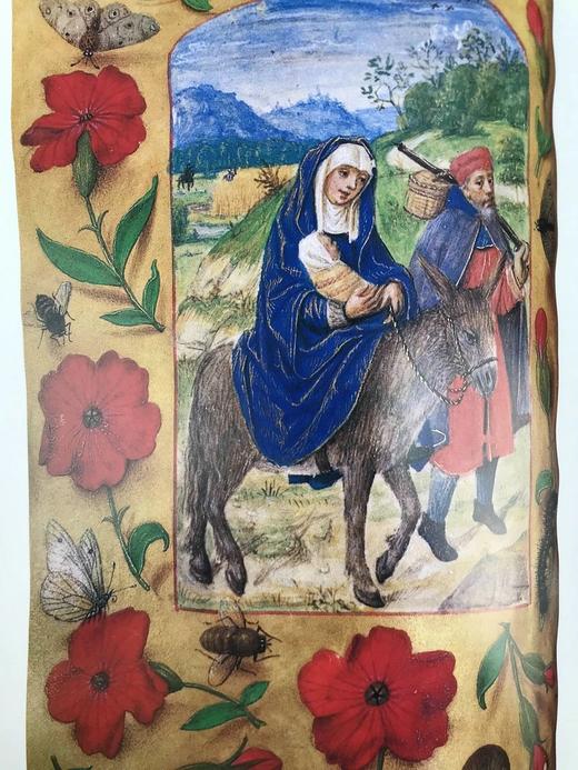 美国国会图书馆珍品图集 439幅插图（156幅彩色） 精装大16开 商品图9