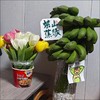 禁止蕉绿一水培香蕉、整串带杆、办公室摆件、没熟之前是绿植，熟了就是可以吃的芭蕉❗️ 商品缩略图1