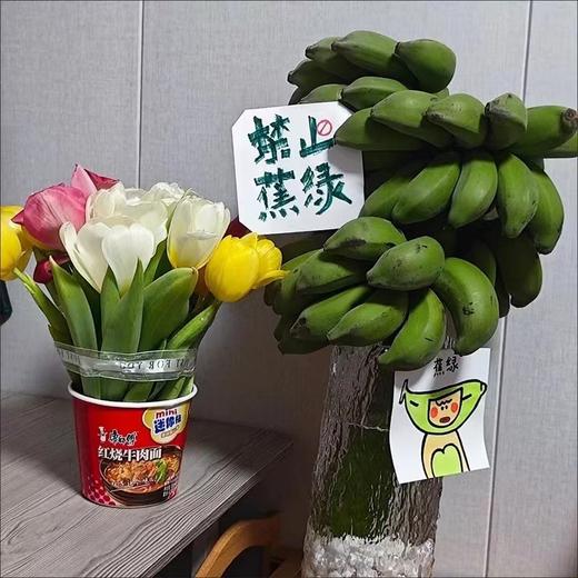 禁止蕉绿一水培香蕉、整串带杆、办公室摆件、没熟之前是绿植，熟了就是可以吃的芭蕉❗️ 商品图1
