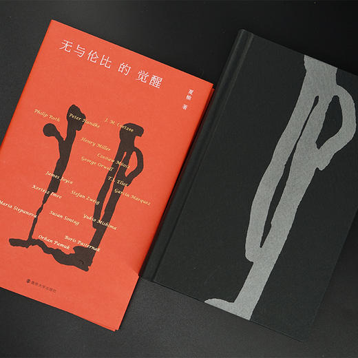 无与伦比的觉醒 商品图4